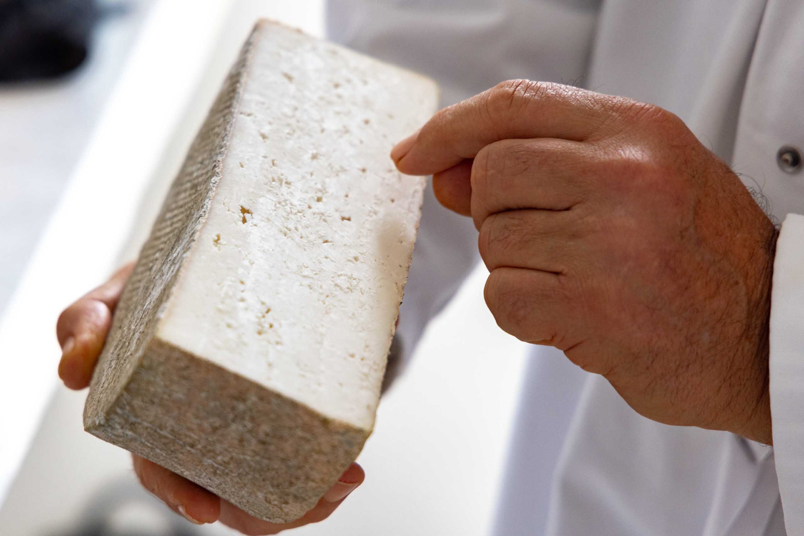 Queso de cabra probiodiversidad