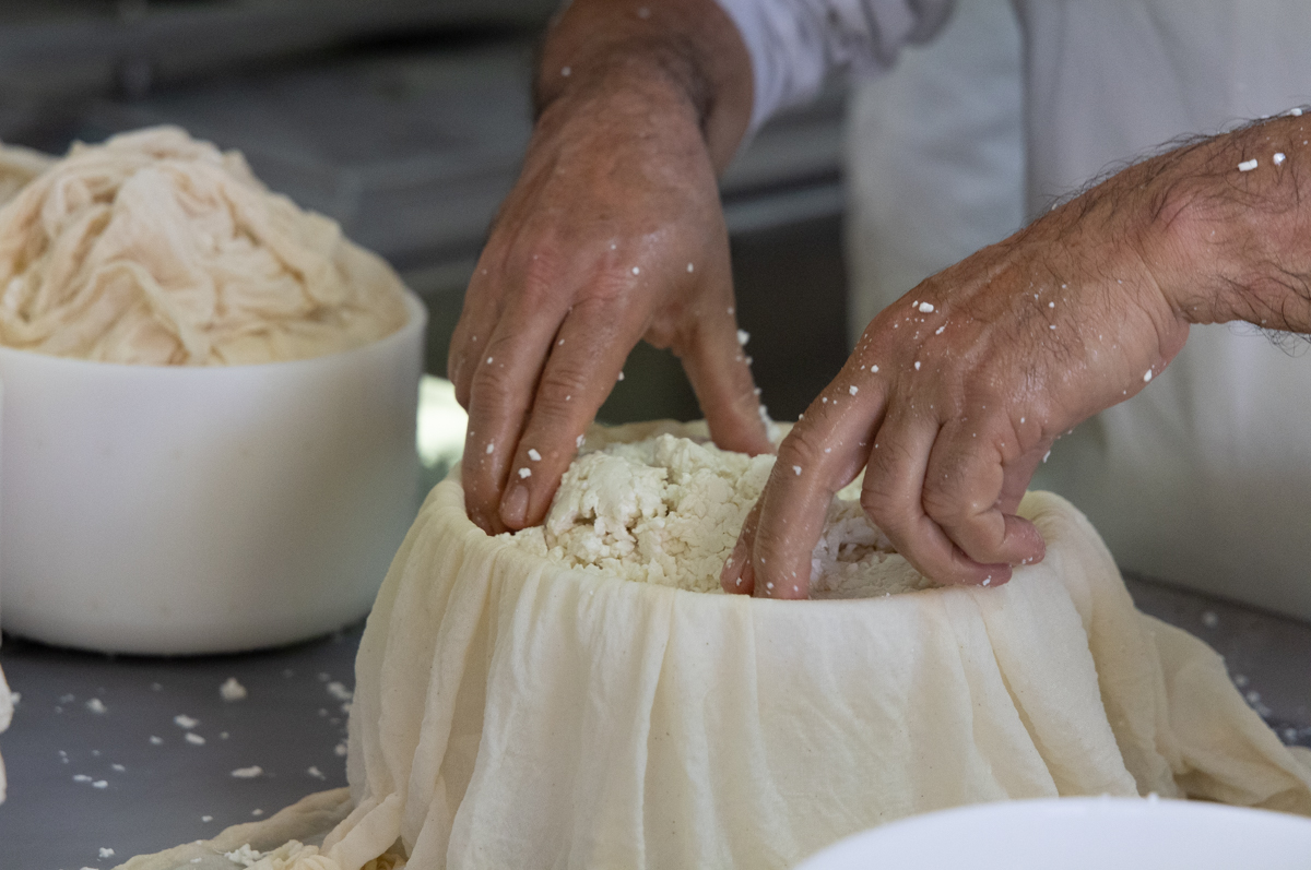 Queso de cabra probiodiversidad