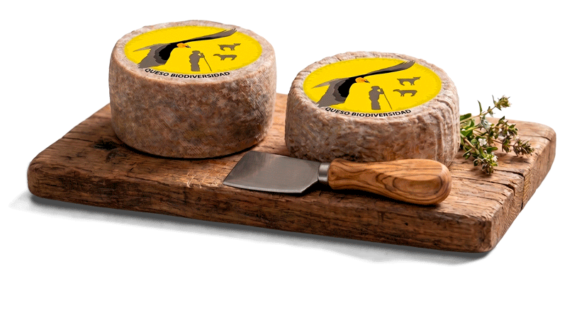 queso_probiodiversidad